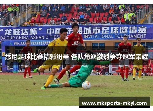 悉尼足球比赛精彩纷呈 各队角逐激烈争夺冠军荣耀