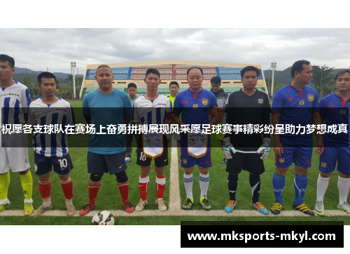 祝愿各支球队在赛场上奋勇拼搏展现风采愿足球赛事精彩纷呈助力梦想成真