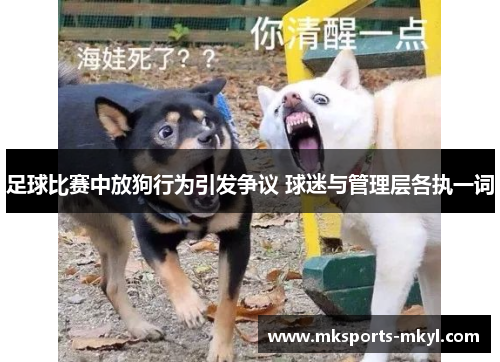 足球比赛中放狗行为引发争议 球迷与管理层各执一词